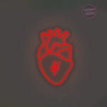Coeur QLF